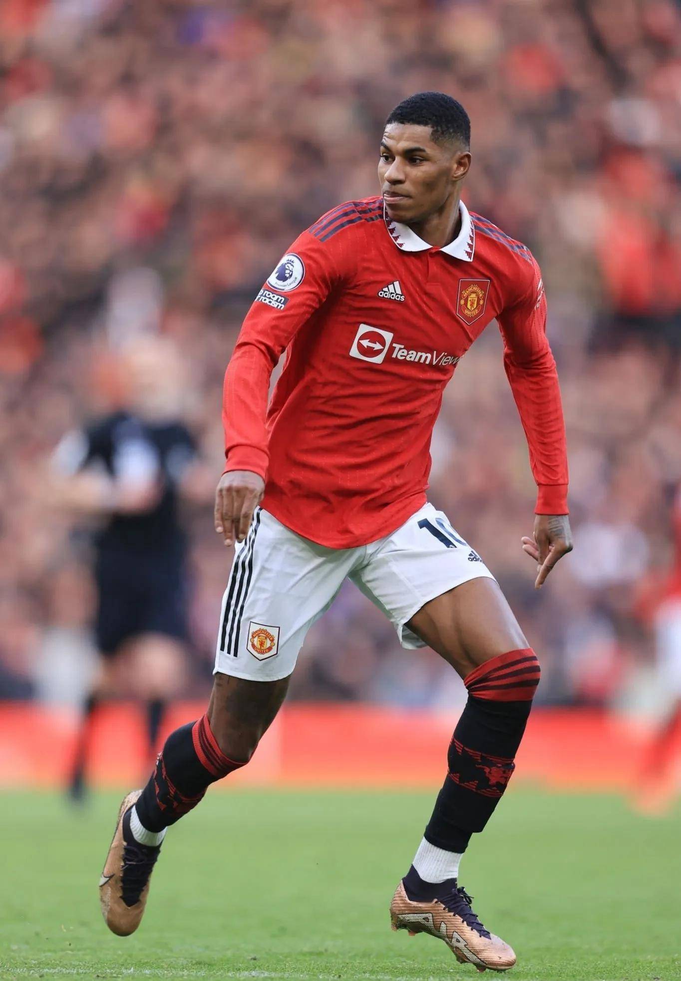 的延伸部分 的延伸部分