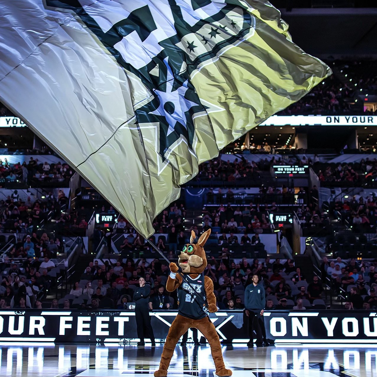 的优势暂时 的优势暂时